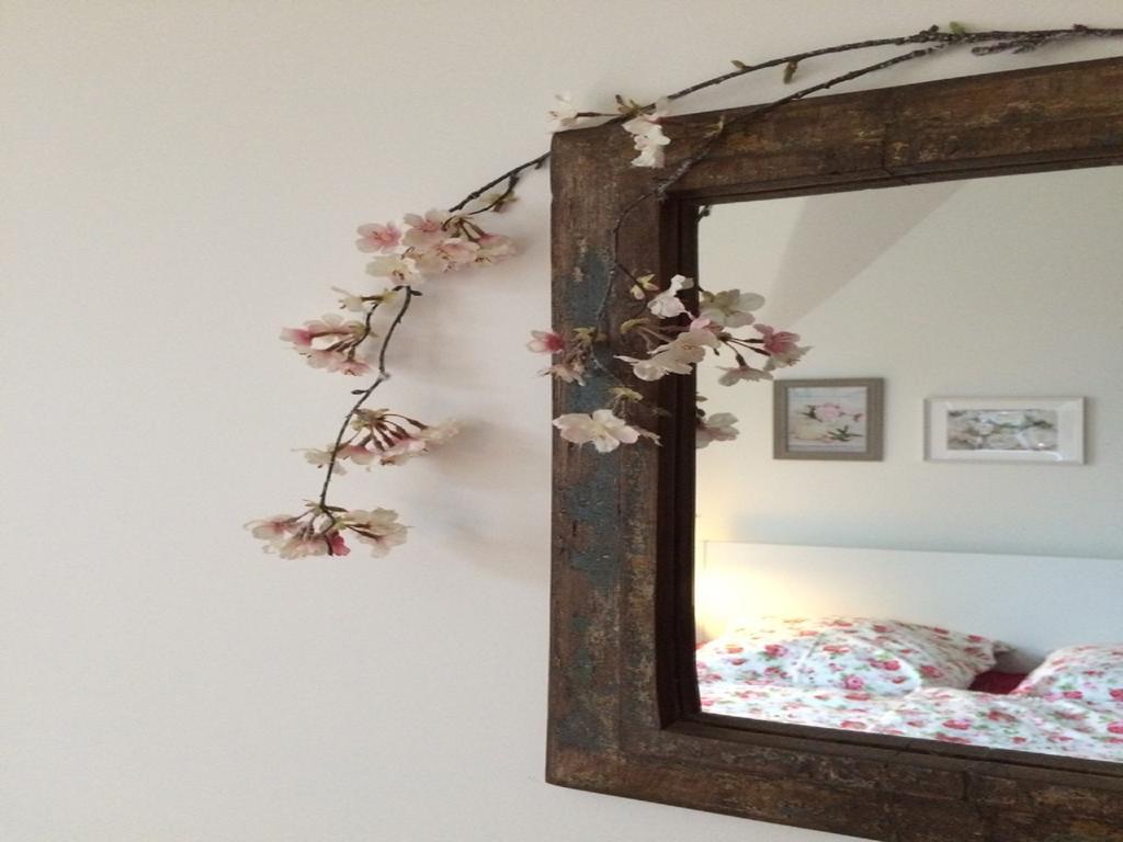 Villa Eschebach - Ferienwohnung Dresden Buitenkant foto